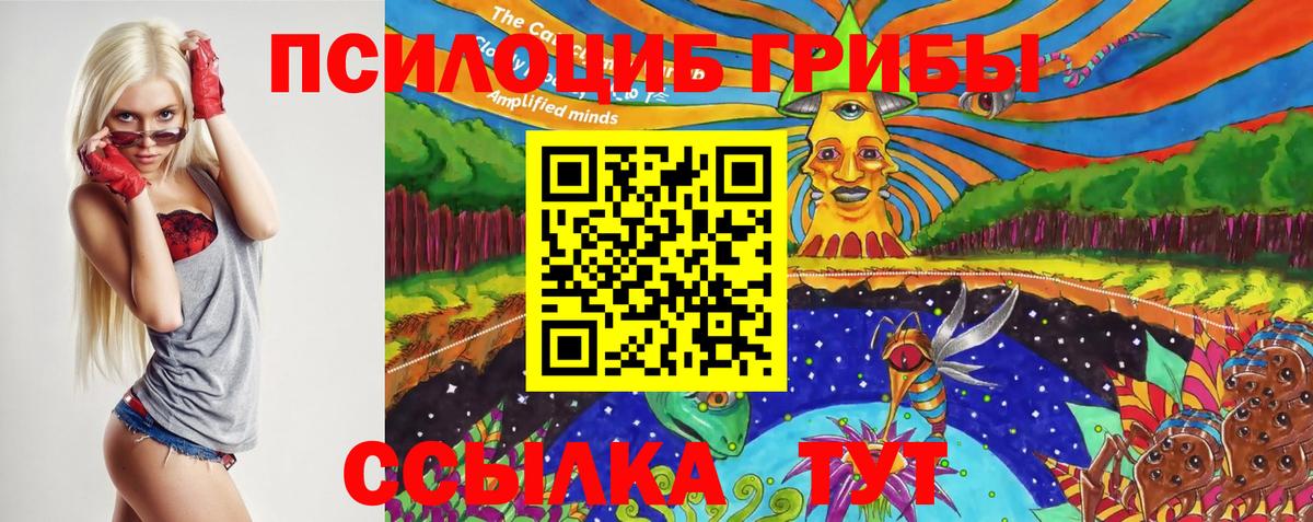 Галлюциногенные грибы GOLDEN TEACHER Карталы