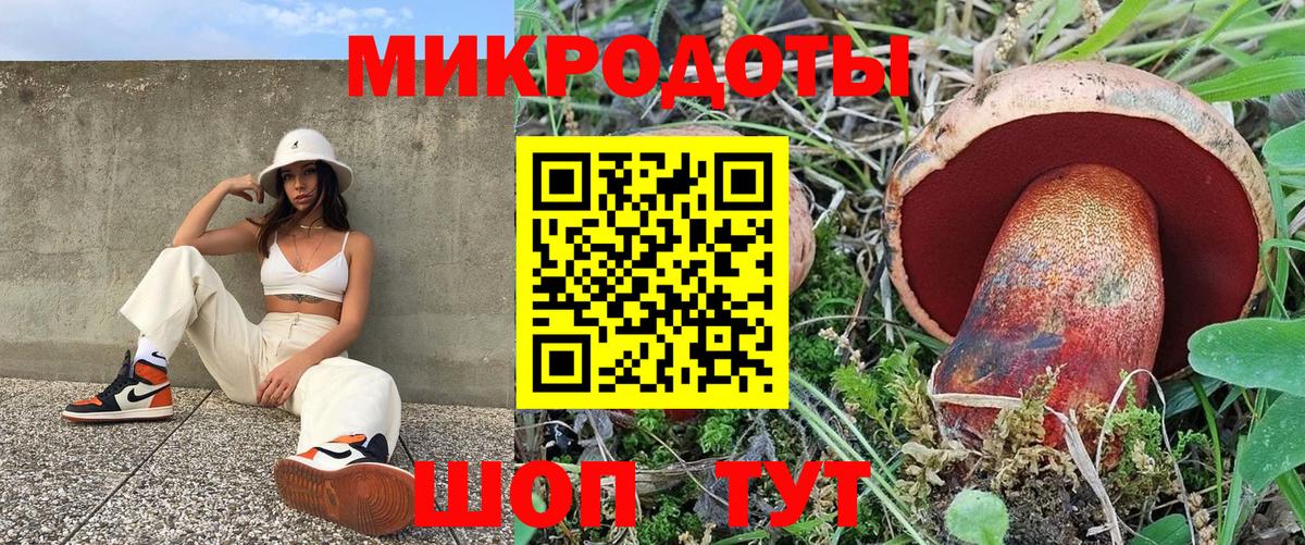 Карталы  Псилоцибиновые грибы Psilocybine cubensis  Галлюциногенные грибы GOLDEN TEACHER  Вход с VPN 
